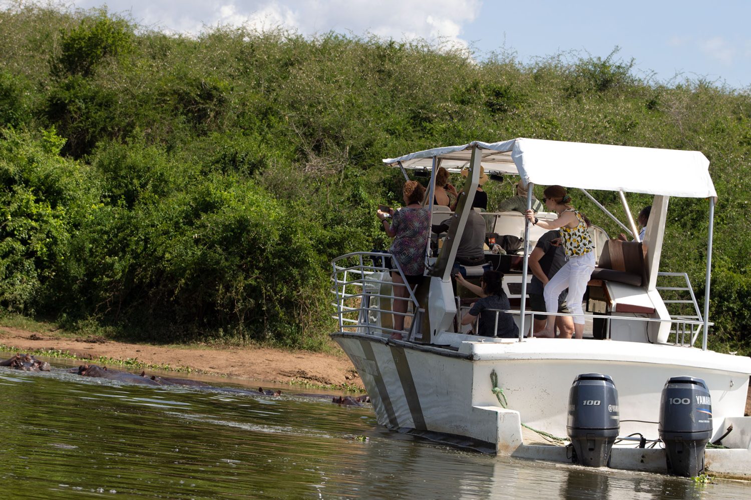 early trails expedition gorilla trekking experience