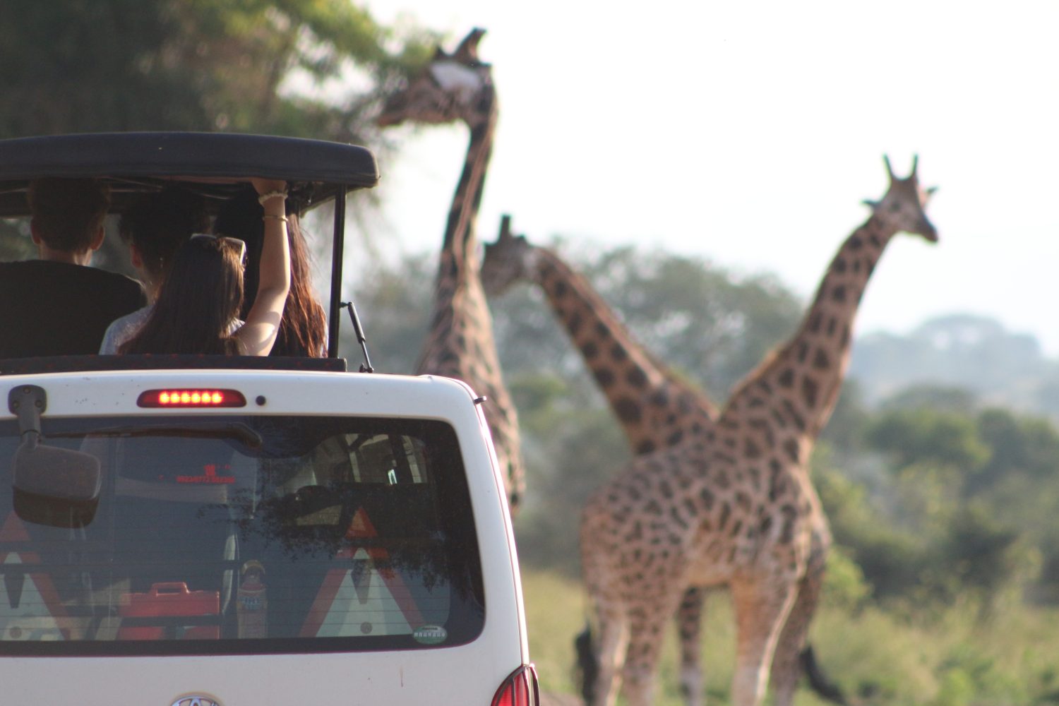 7 Days Uganda Safari Adventure