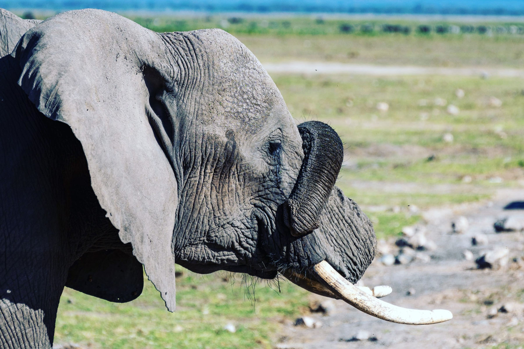 One Week Uganda Adventure Safari