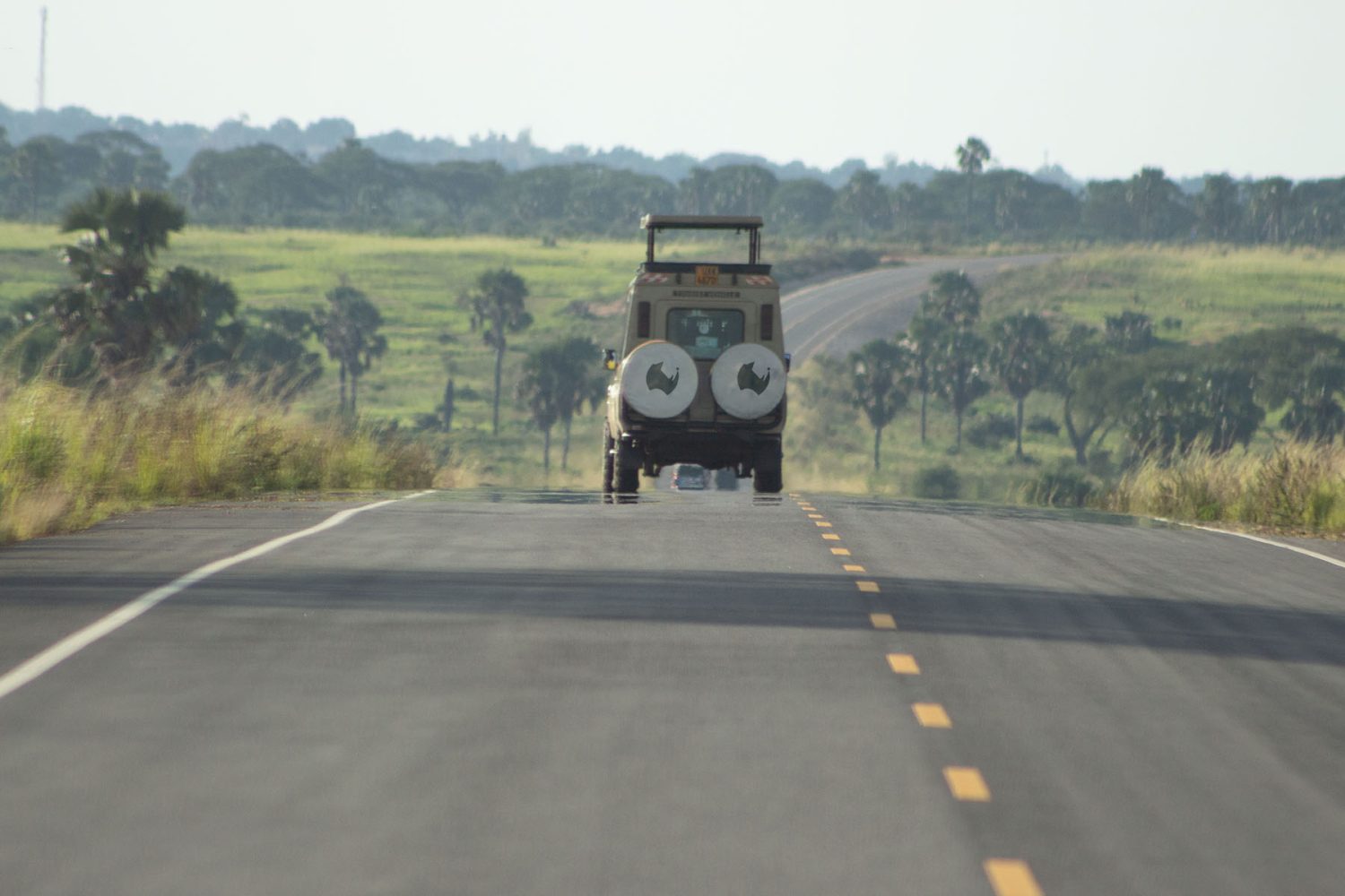 Uganda Safari Adventure Wildlife