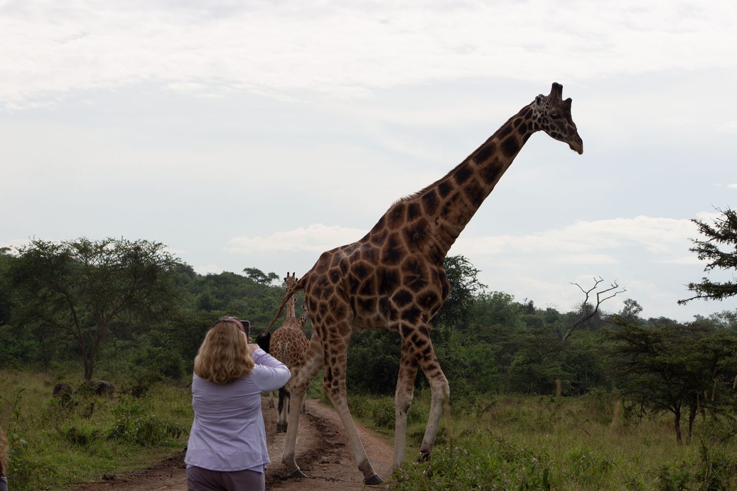 3 Weeks Ultimate Uganda Tour