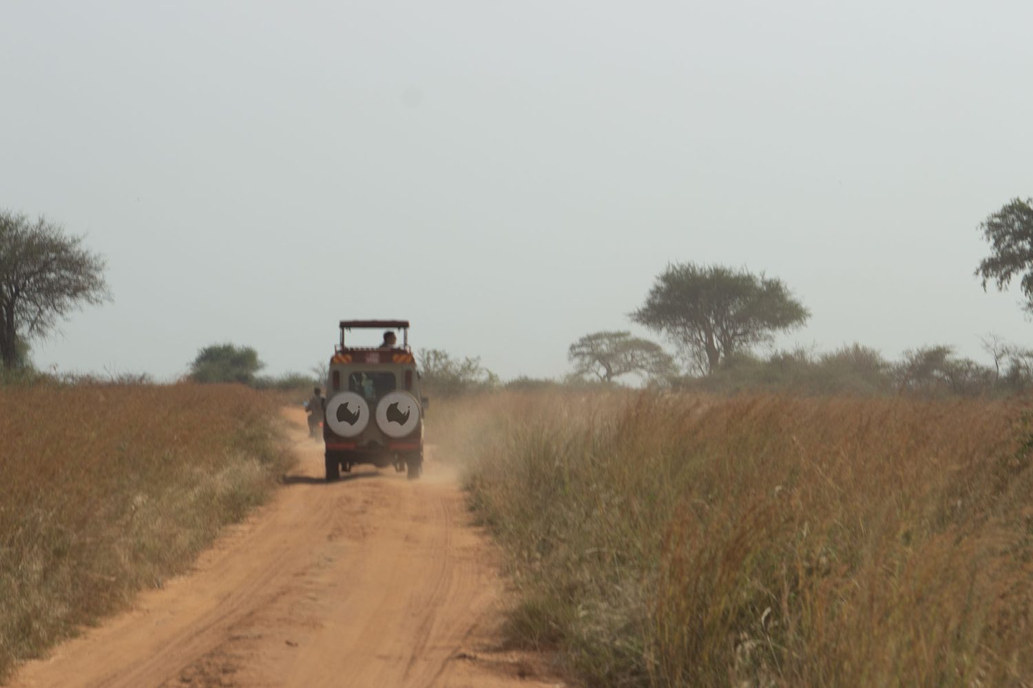 Adventure Safari Up Close