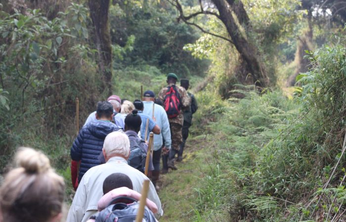 Gorilla trekking adventure