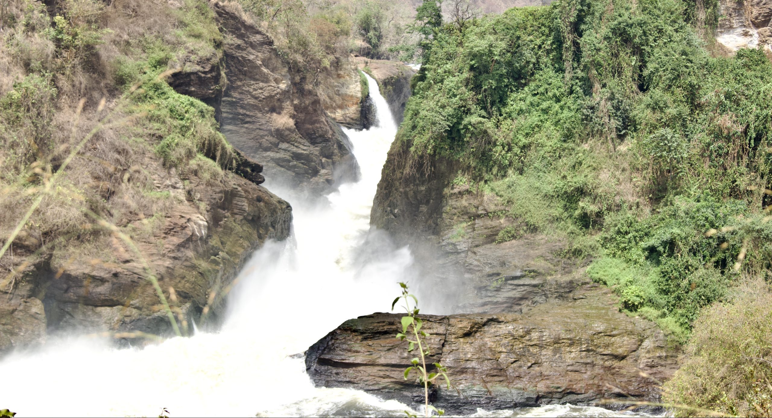 The Ultimate guide for a Ugandan safari